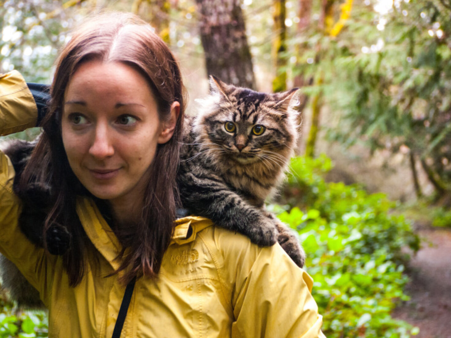 Women Rescue Stray Cats And Take Them Hiking And Camping - The Dodo
