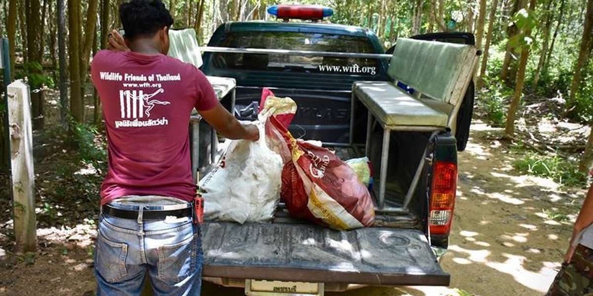 Rescuers Find Worst Surprise In Old Rice Bags - The Dodo
