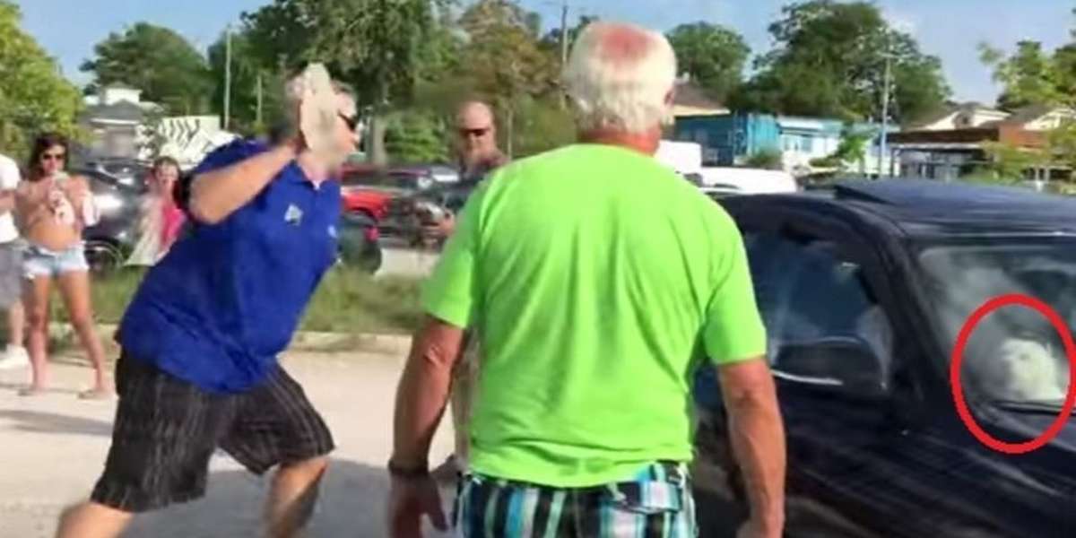 California Just Made It Legal To Smash In A Car Window To Save Animals