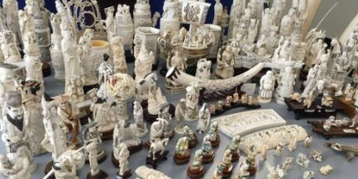 New York City Store Caught Selling Millions Of Dollars Worth Of Ivory