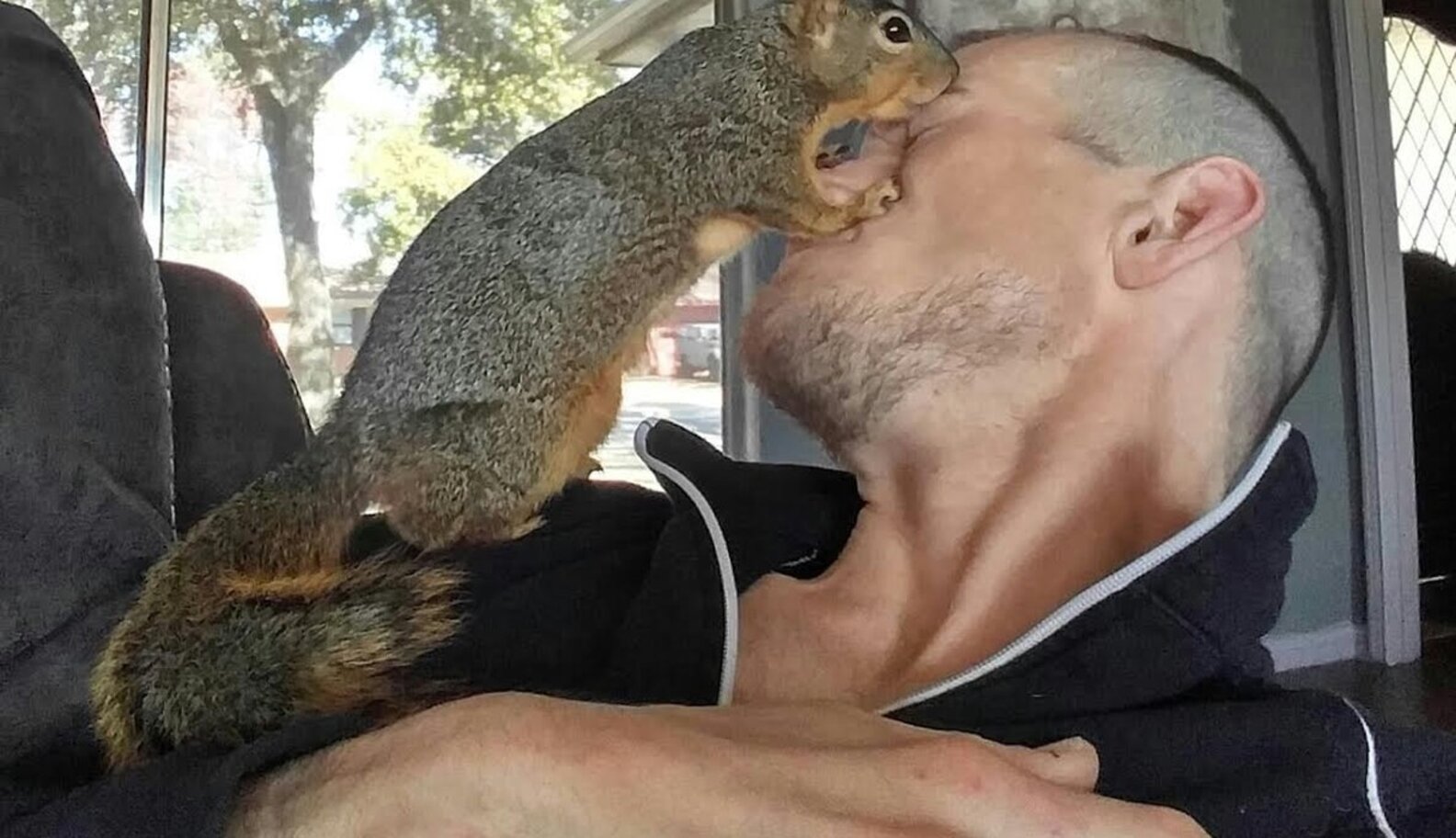 Orphaned Squirrel Is Obsessed With The Guy Who Rescued Him - The Dodo