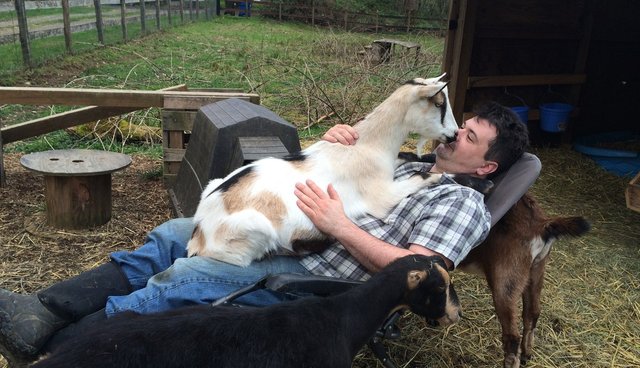 Image result for man hugs goat images