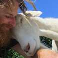 Goat Who Was Almost Killed Is So Happy To Be Safe