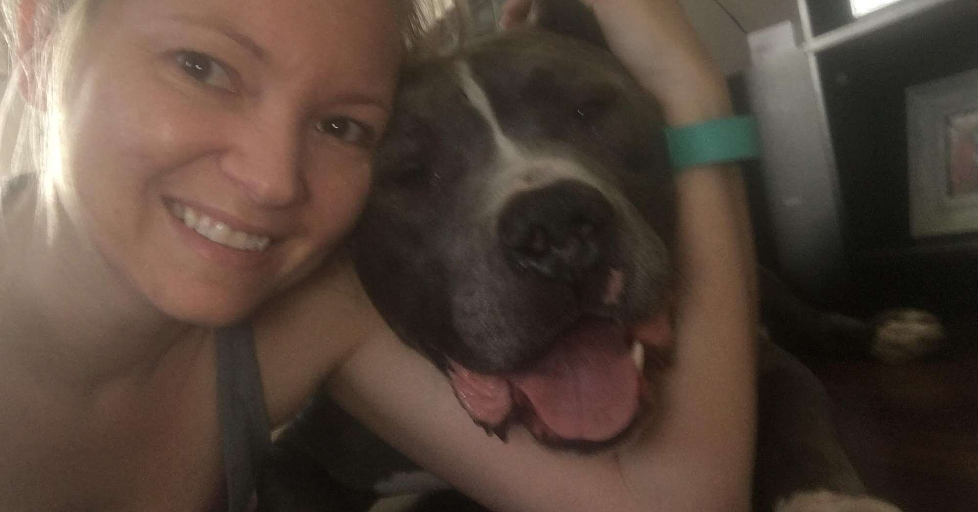 Rescued pit bull with his new owner