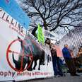 American's Bid to Take Home Rhino Head Stokes Hunting Debate