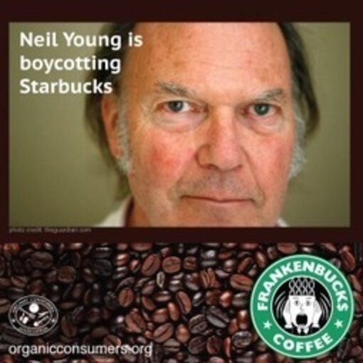 Neil Young Announces Starbucks Boycott The Dodo(01)