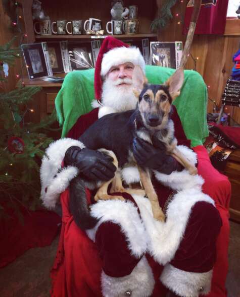 Dog on Santa's lap