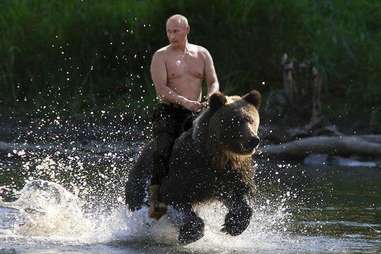 shirtless putin riding a bear