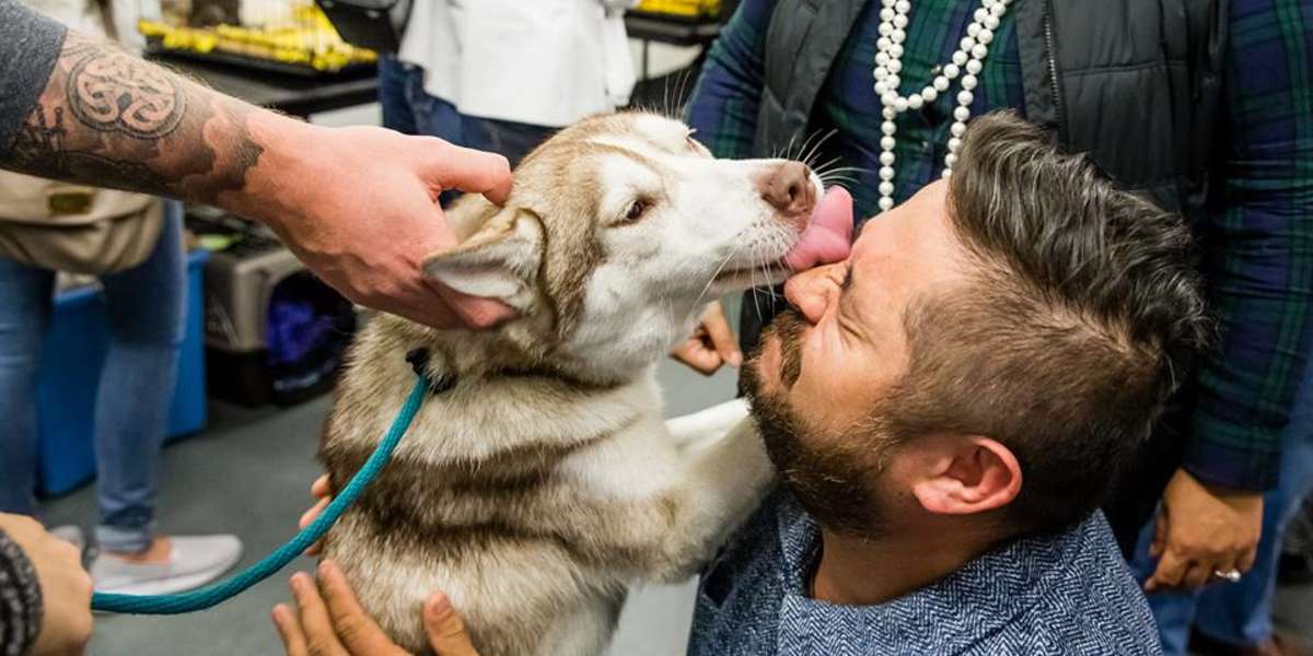 NFL Player Torrey Smith Pays Adoption Fees For 46 Shelter Animals The