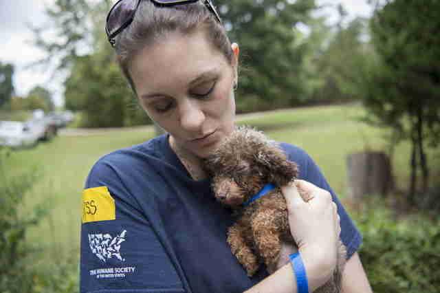 Rescuer with puppy mill dog