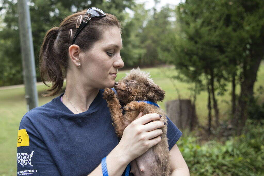 Rescuer with puppy mill dog