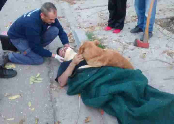 Risultati immagini per 6 feet Dog Won't Stop Hugging His Dad Who Was Injured In A Fall