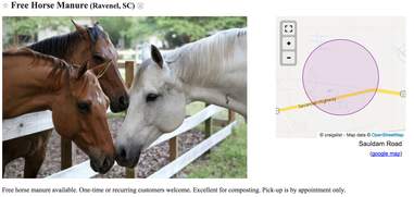 horse manure
