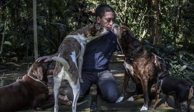 glenn greenwald with his rescue dogs