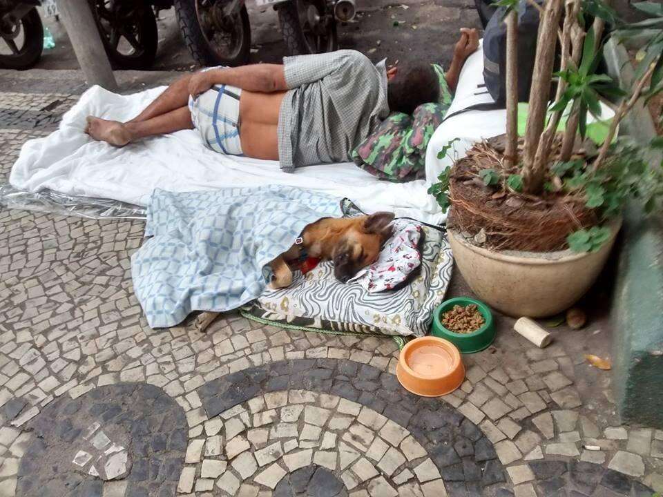 homeless dog and homeless man sleeping on street