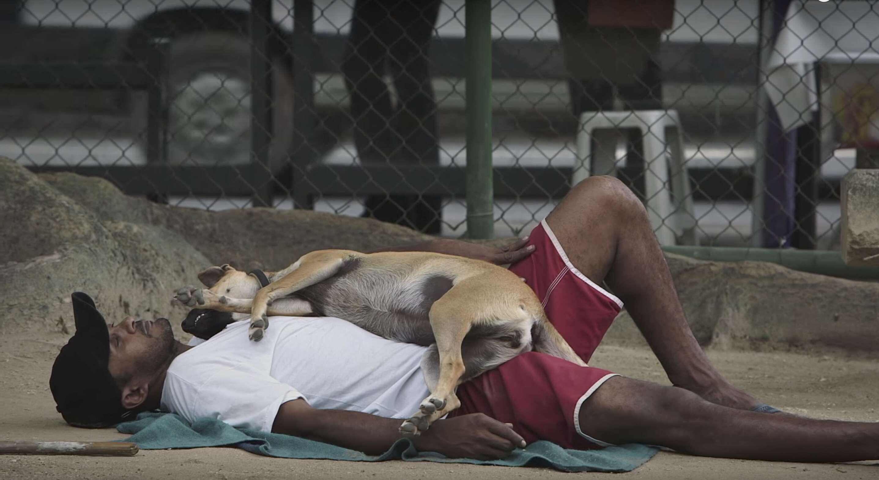 a homeless man with his dog