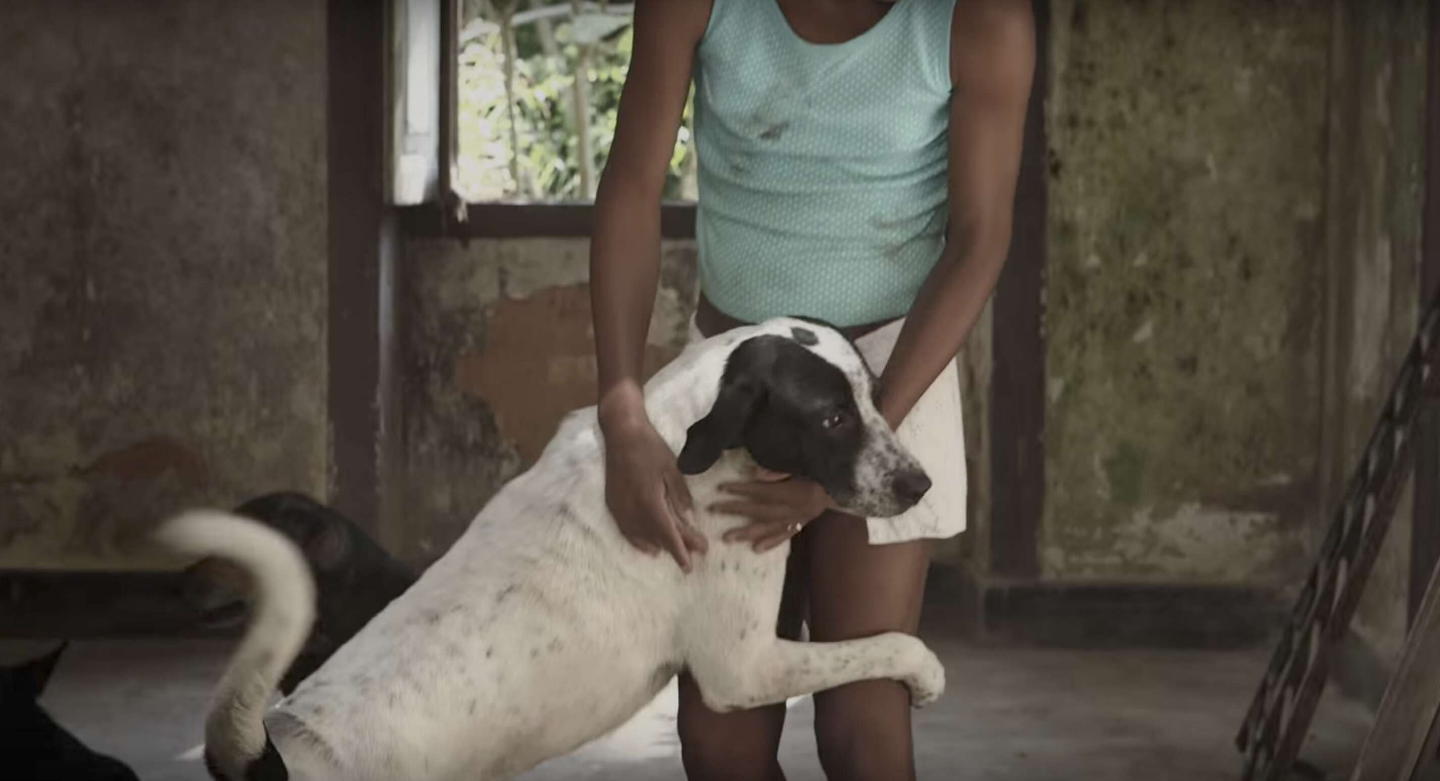 homeless trans woman with dog