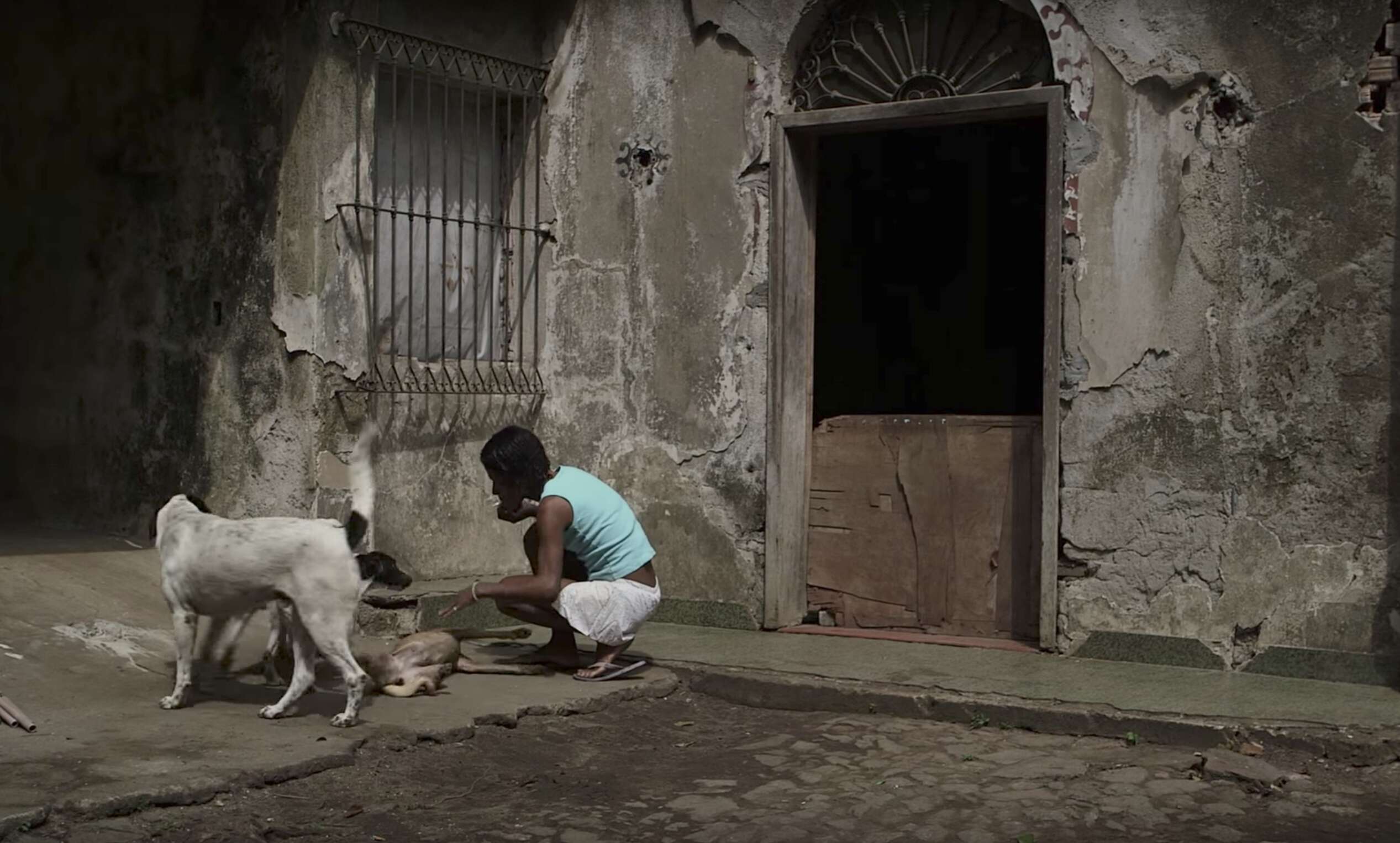 homeless trans woman with dogs