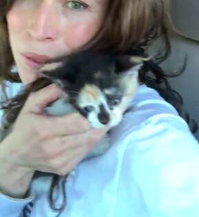Kitten adopts woman