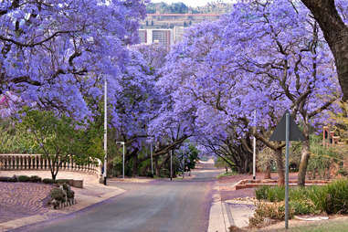 pretoria south africa