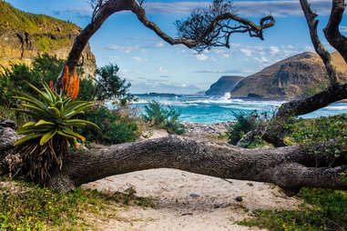 Coffee Bay in the Wild Coast, Republic South Africa