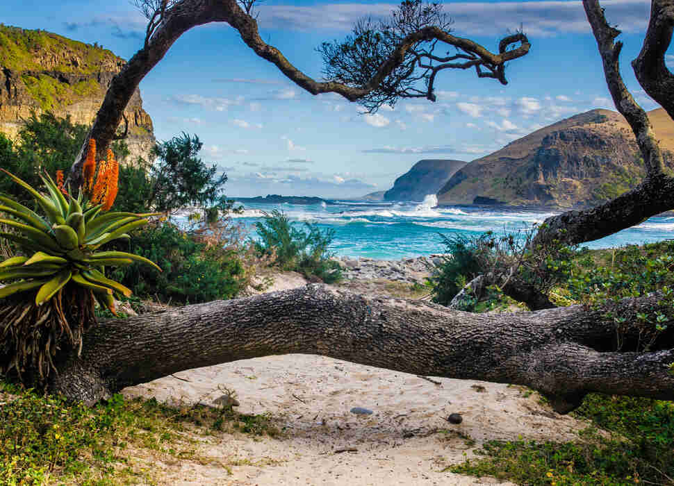 Things to Do in Cape Town South Africa Beautiful Places Things to Do in Cape Town South Africa Beautiful Places