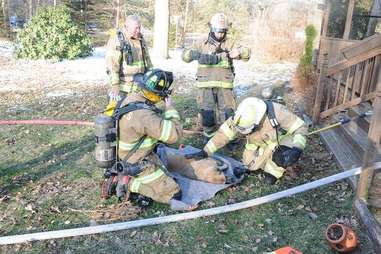 dog finds cat after fire