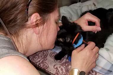 dog finds cat after fire