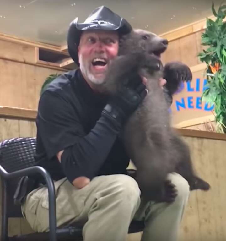 Tim Stark roughly handling a bear cub