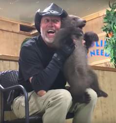 Tim Stark roughly handling a bear cub