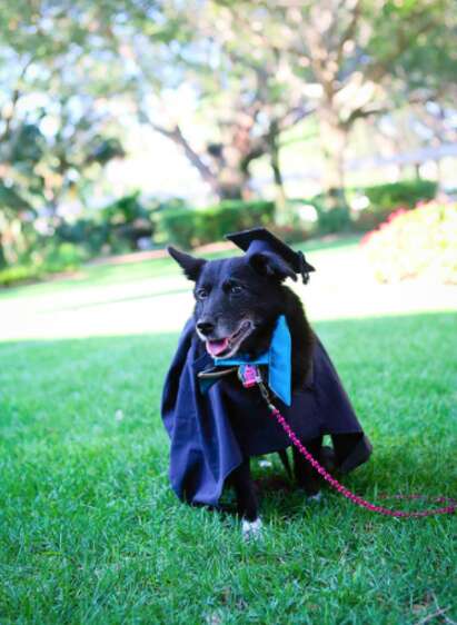 dog graduates from Eckerd College