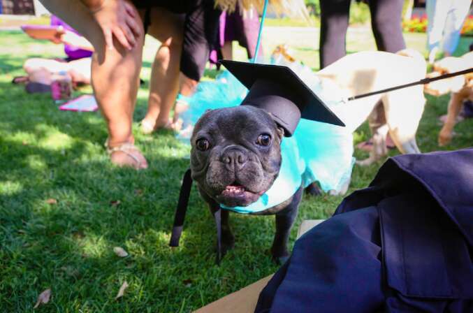 dog graduates from Eckerd College