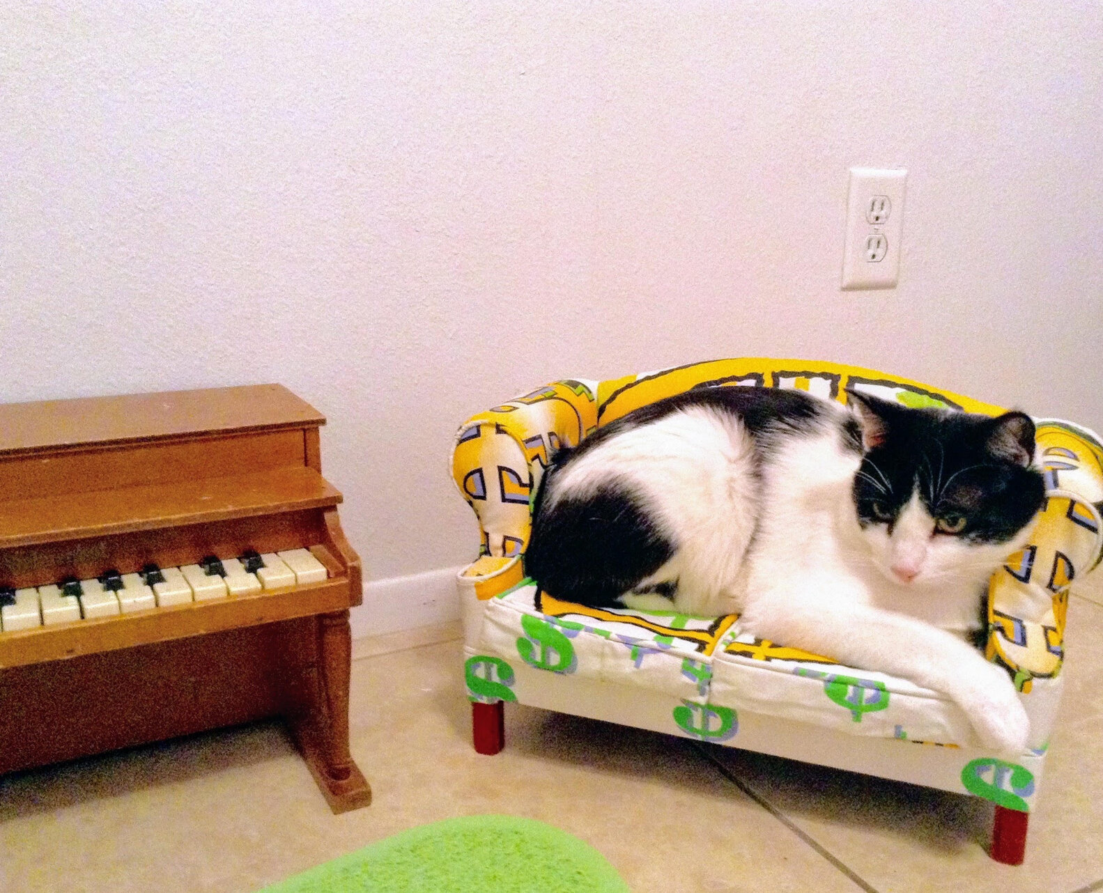 Woman Builds Little Living Room Just For Her Cats The Dodo
