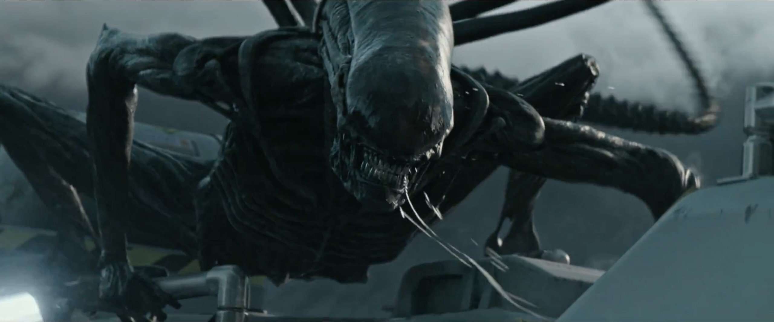 Alien Covenant Xenomorph