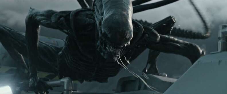 How 'Alien: Covenant' Erases Predators From the Official Alienverse  (Spoilers!)