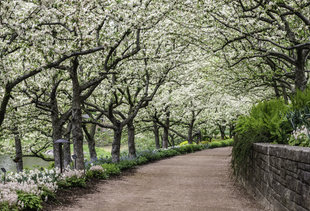 The Most Beautiful Places in Illinois You Never Knew Existed