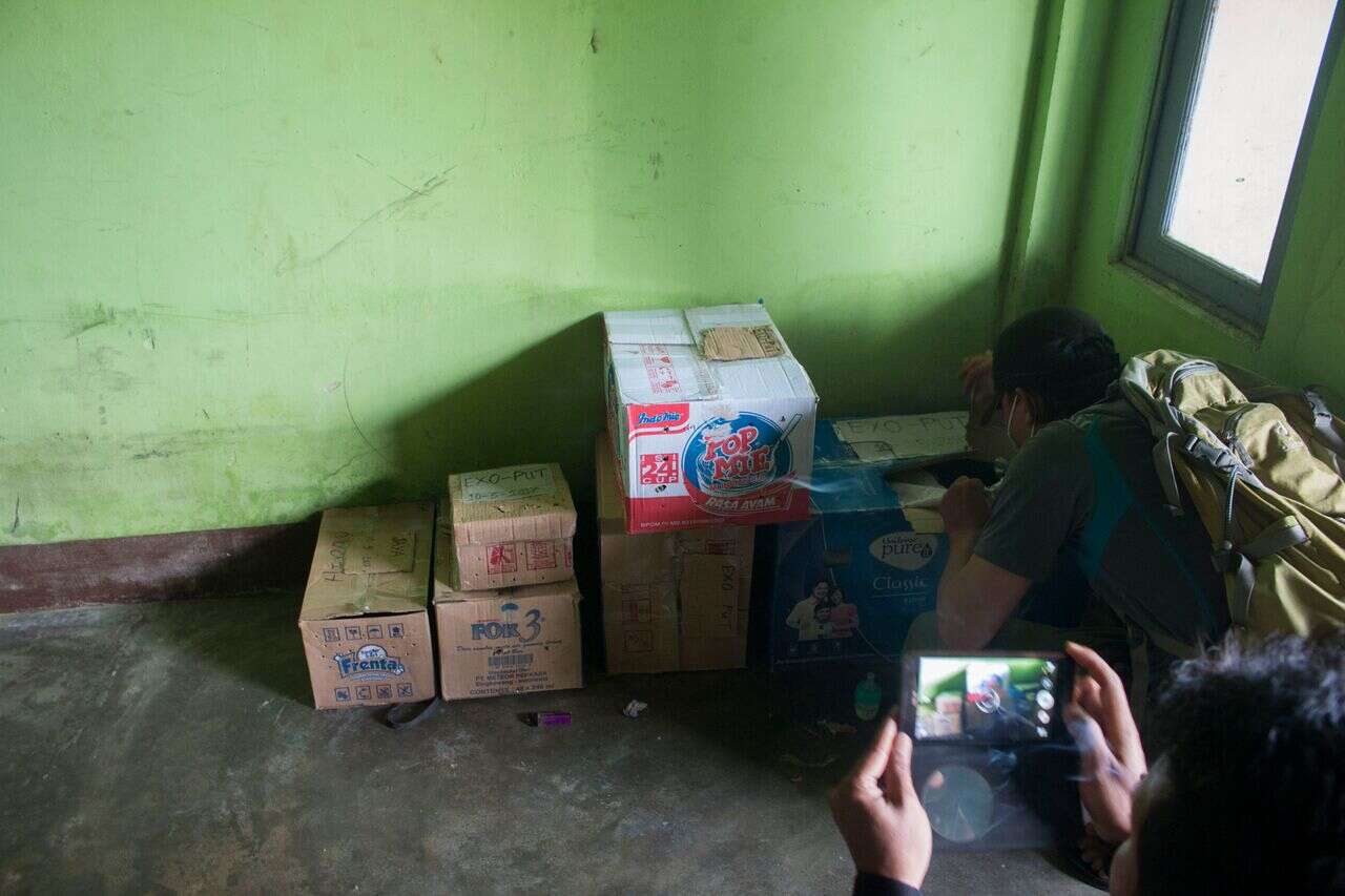 Indonesian Police Find Wild Animals Trapped In Cardboard Boxes - The Dodo