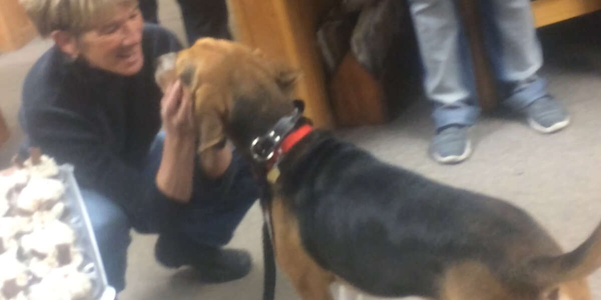 Heroes Rushed Into A Burning Shelter And Saved This Dog - Videos - The Dodo