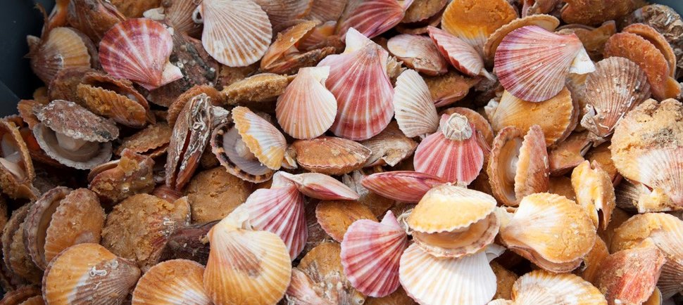 Why You Need to Eat This Rare Seafood Right Now