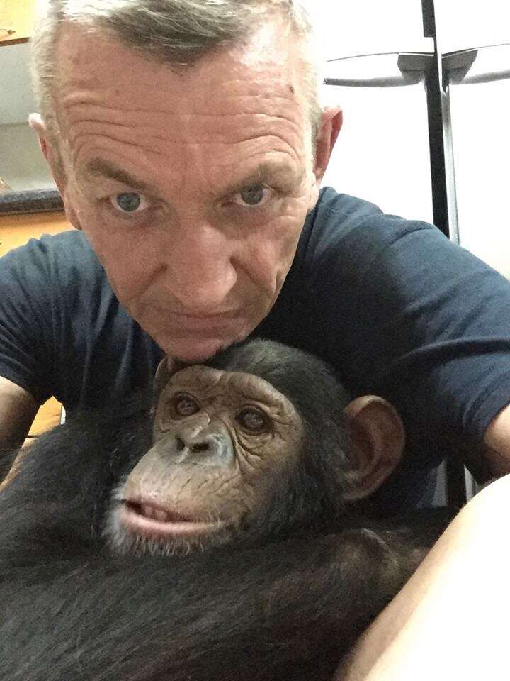 Man holding rescued chimp