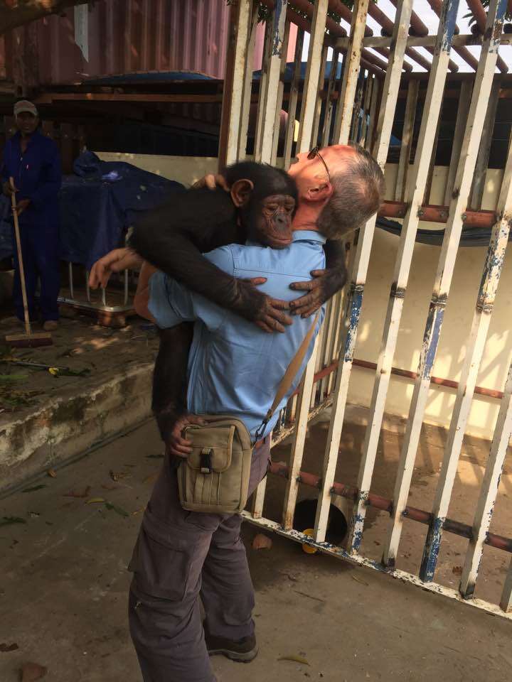 Rescued chimp hugging man