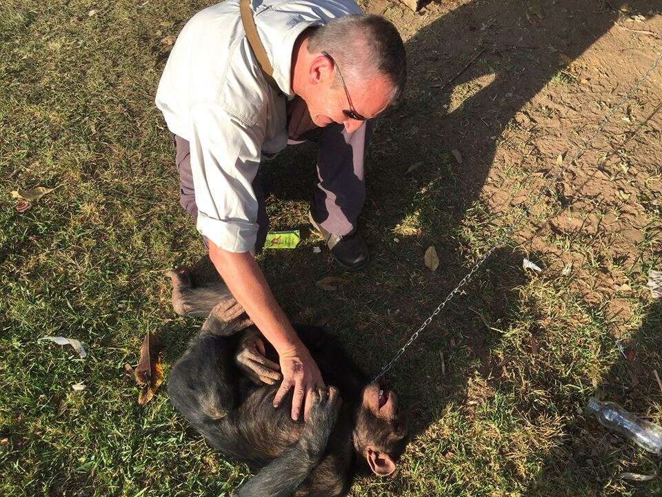 John Grobler with Leila the chimp