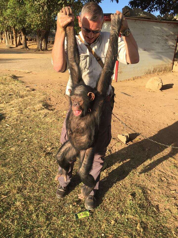 John Grobler with Leila the chimp