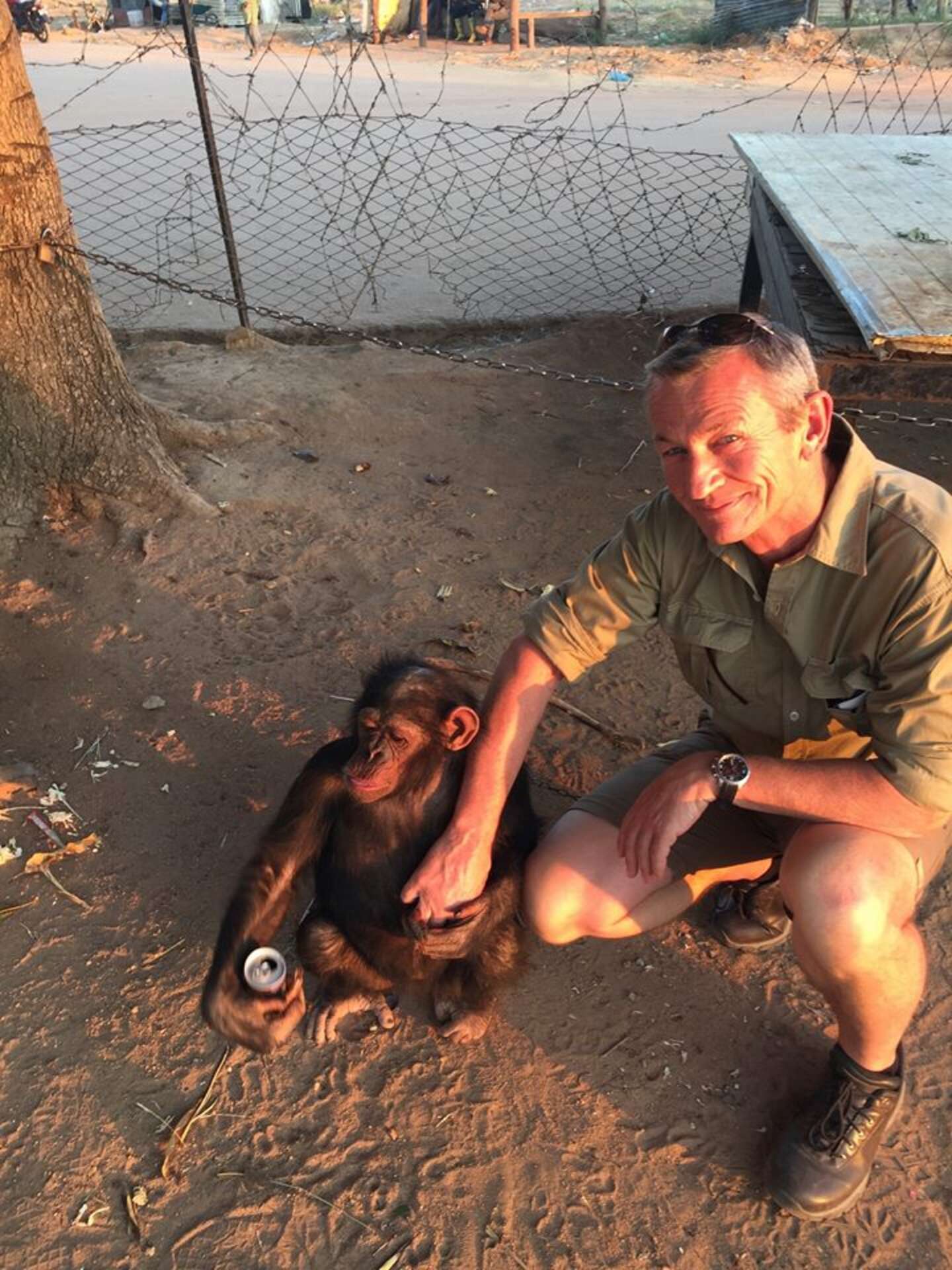 From Chains to Freedom: The Rescue of Leila the Chimpanzee Scale;webp=auto;jpeg Quality=60