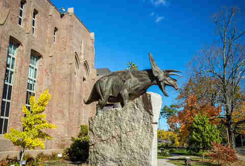 Yale Peabody Museum