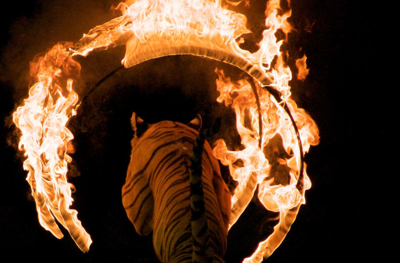 Fire hoops deals