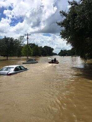 Heroes Are Saving Thousands Of Animals In The Louisiana Floods - The Dodo