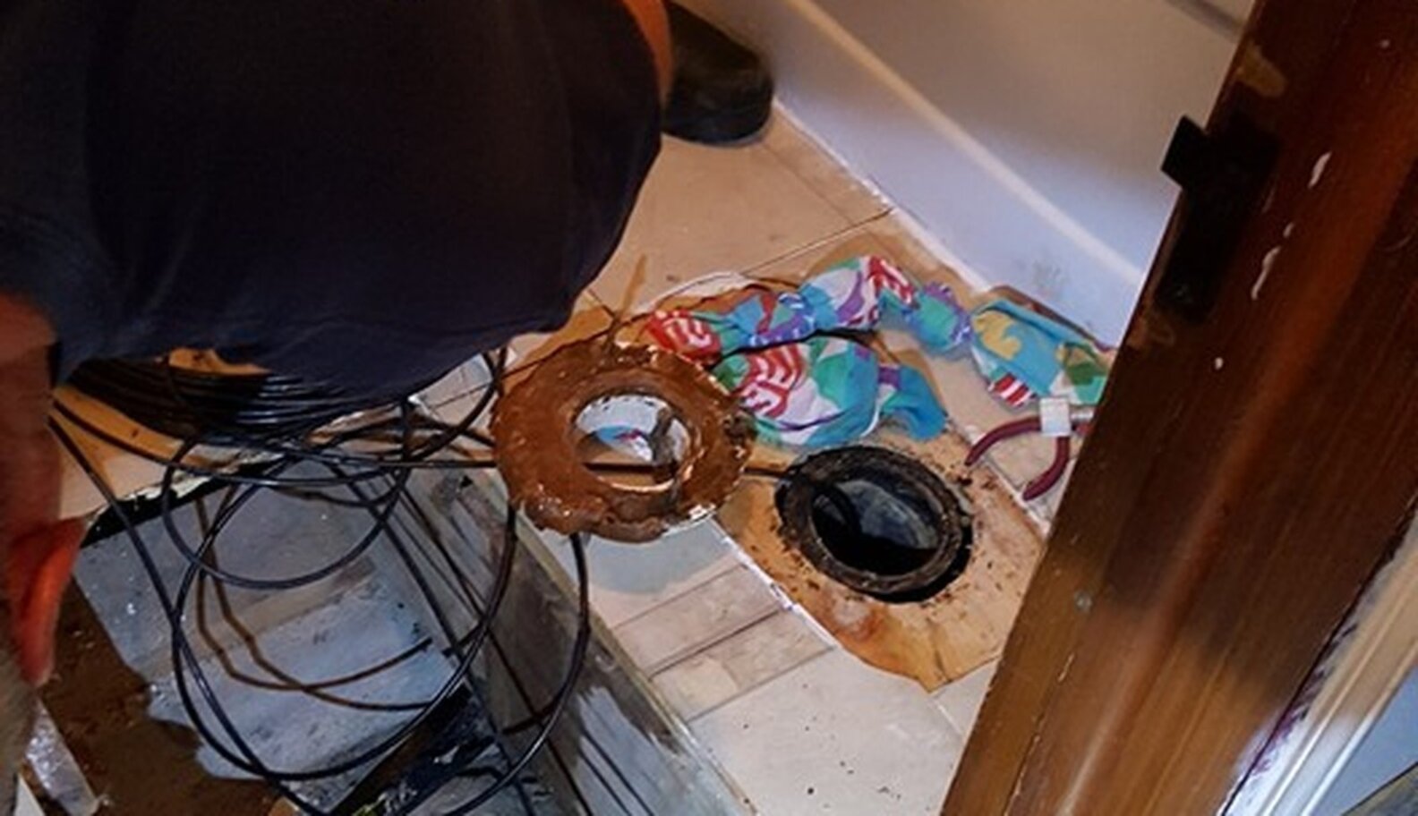 Kitten Flushed Down Toilet Never Stopped Crying For Help The Dodo