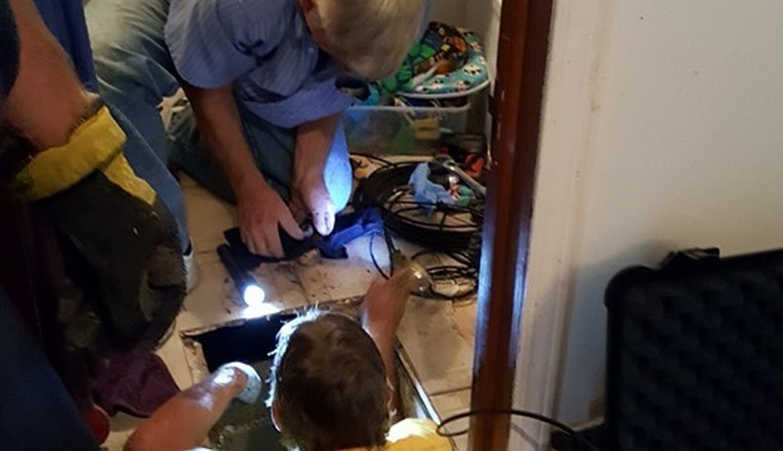 Kitten Flushed Down Toilet Never Stopped Crying For Help The Dodo