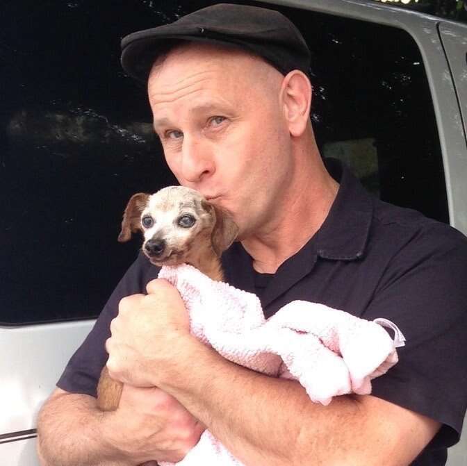 Tiny Chihuahua Was Living In The Middle Of A Freeway - The Dodo